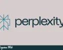Logo de Perplexity en color verde azulado sobre fondo claro, acompañado del nombre “perplexity” y la marca Esquina Web en la parte inferior.