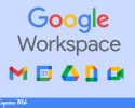 Logo de Google Workspace con los íconos de Gmail, Calendar, Drive, Documentos y Meet